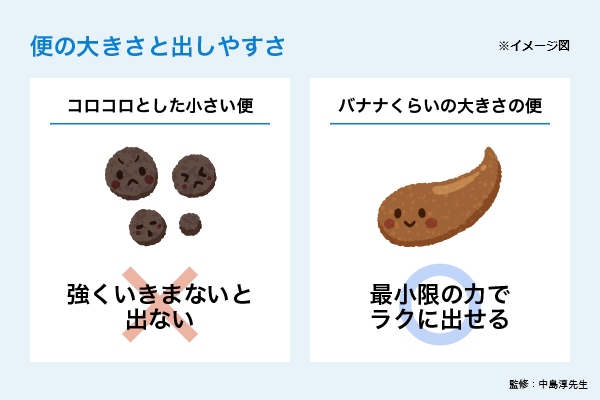 便の大きさと出しやすさ